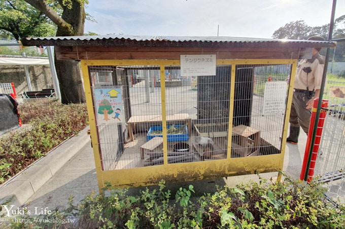 大阪天王寺動物園，北極熊在等你~大阪周遊卡免費觀光親子景點 - yuki.tw