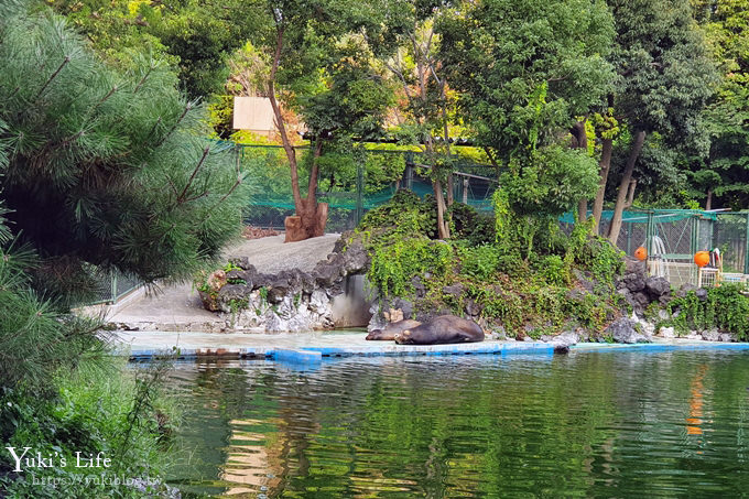 大阪天王寺動物園，北極熊在等你~大阪周遊卡免費觀光親子景點 - yuki.tw