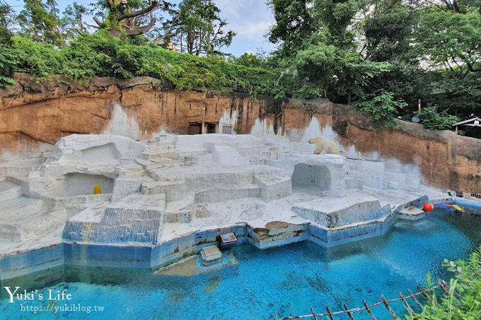 大阪天王寺動物園，北極熊在等你~大阪周遊卡免費觀光親子景點 - yuki.tw