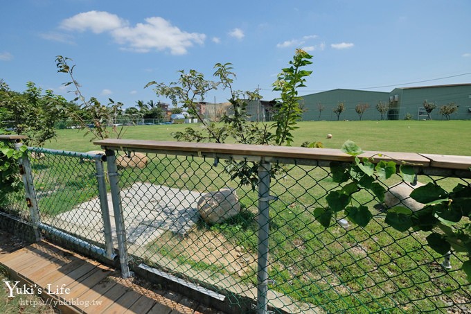 桃園景點【陽光莊園】親子寵物草皮景觀餐廳×貨櫃屋美拍好去處！ - yuki.tw