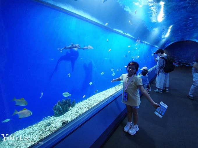 大阪景點【大阪海遊館】親子同遊好去處×可以摸鯊魚和魟魚哦！ - yuki.tw