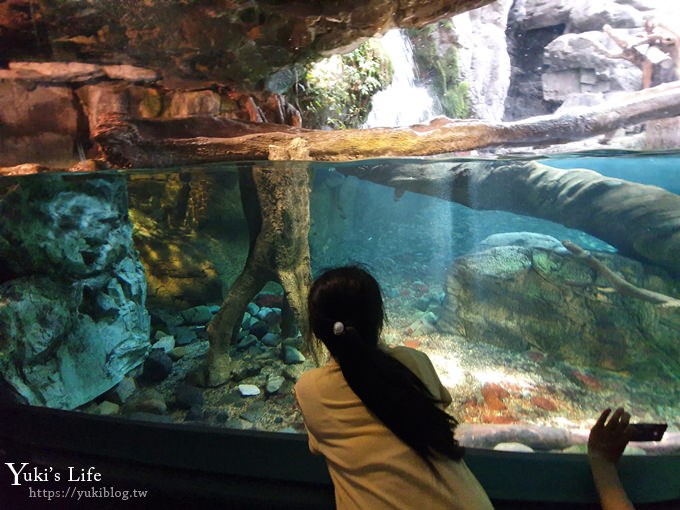 大阪景點【大阪海遊館】親子同遊好去處×可以摸鯊魚和魟魚哦！ - yuki.tw