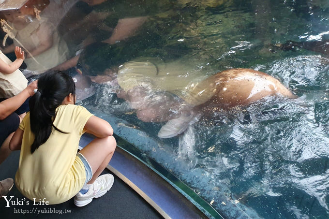 大阪景點【大阪海遊館】親子同遊好去處×可以摸鯊魚和魟魚哦！ - yuki.tw