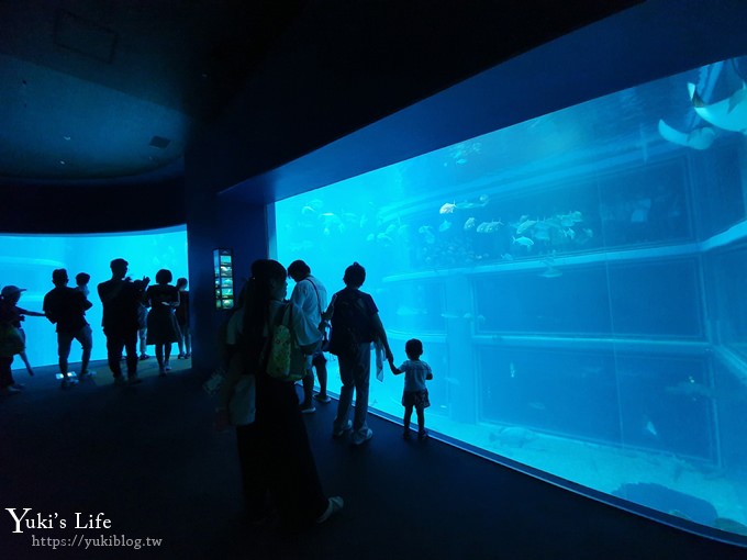 大阪景點【大阪海遊館】親子同遊好去處×可以摸鯊魚和魟魚哦！ - yuki.tw