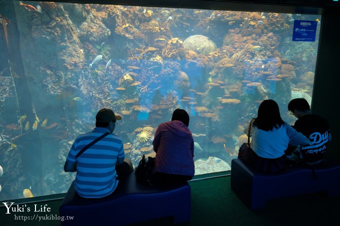 大阪景點【大阪海遊館】親子同遊好去處×可以摸鯊魚和魟魚哦！ - yuki.tw