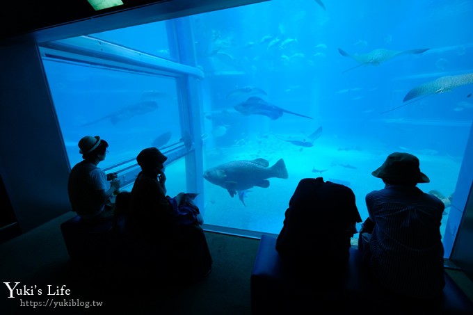 大阪景點【大阪海遊館】親子同遊好去處×可以摸鯊魚和魟魚哦！ - yuki.tw