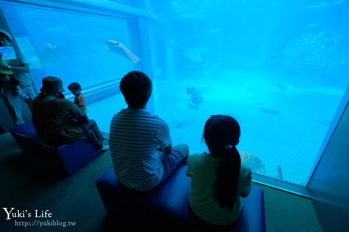 大阪景點【大阪海遊館】親子同遊好去處×可以摸鯊魚和魟魚哦！ - yuki.tw