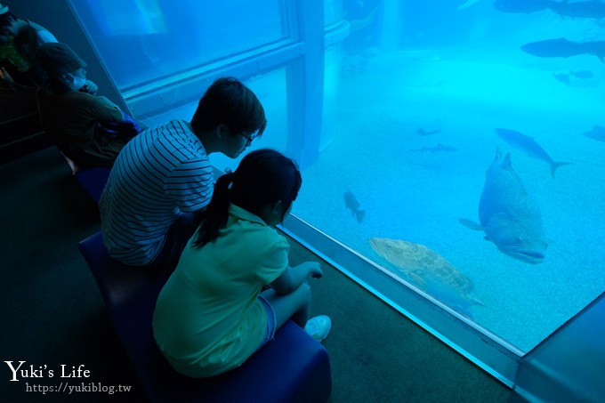 大阪景點【大阪海遊館】親子同遊好去處×可以摸鯊魚和魟魚哦！ - yuki.tw