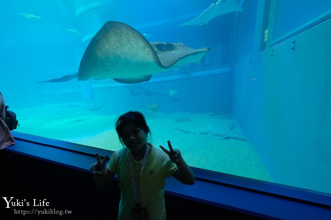 大阪景點【大阪海遊館】親子同遊好去處×可以摸鯊魚和魟魚哦！ - yuki.tw