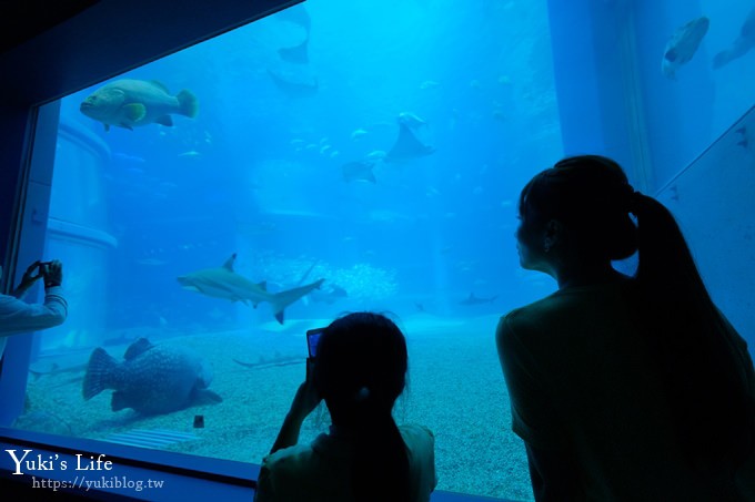 大阪景點【大阪海遊館】親子同遊好去處×可以摸鯊魚和魟魚哦！ - yuki.tw