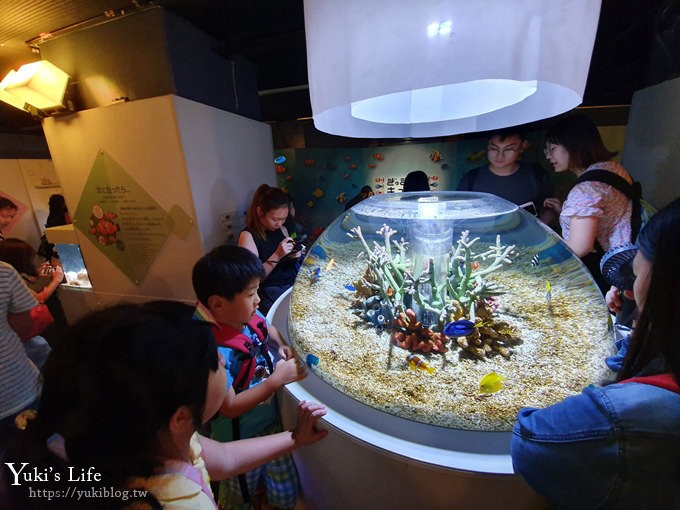 大阪景點【大阪海遊館】親子同遊好去處×可以摸鯊魚和魟魚哦！ - yuki.tw