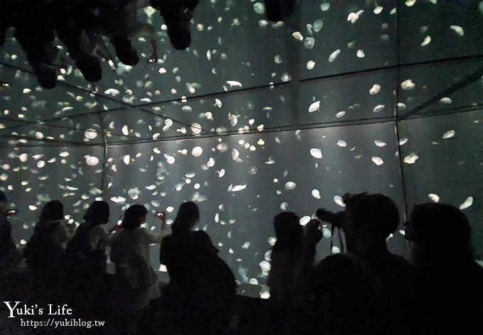 大阪景點【大阪海遊館】親子同遊好去處×可以摸鯊魚和魟魚哦！ - yuki.tw