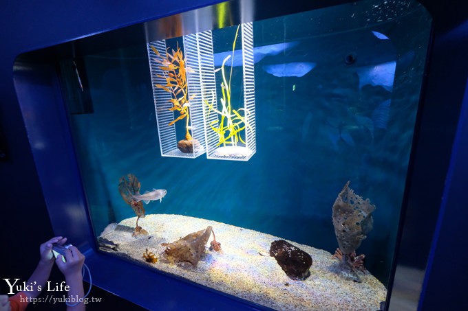 大阪景點【大阪海遊館】親子同遊好去處×可以摸鯊魚和魟魚哦！ - yuki.tw