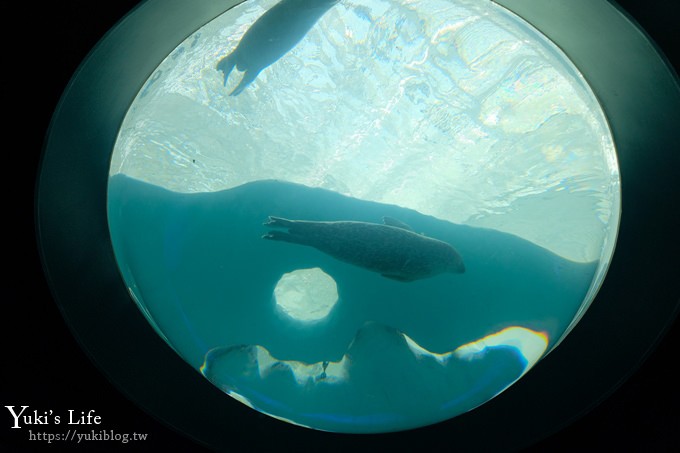 大阪景點【大阪海遊館】親子同遊好去處×可以摸鯊魚和魟魚哦！ - yuki.tw