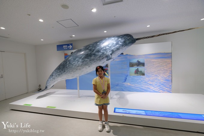 大阪景點【大阪海遊館】親子同遊好去處×可以摸鯊魚和魟魚哦！ - yuki.tw