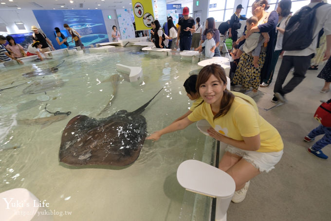 大阪景點【大阪海遊館】親子同遊好去處×可以摸鯊魚和魟魚哦！ - yuki.tw