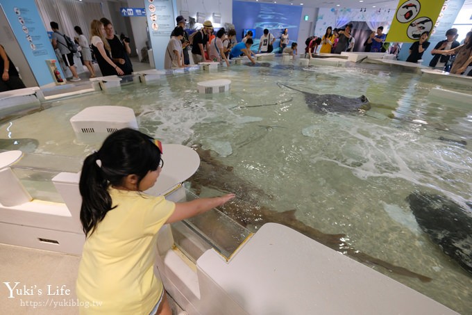 大阪景點【大阪海遊館】親子同遊好去處×可以摸鯊魚和魟魚哦！ - yuki.tw