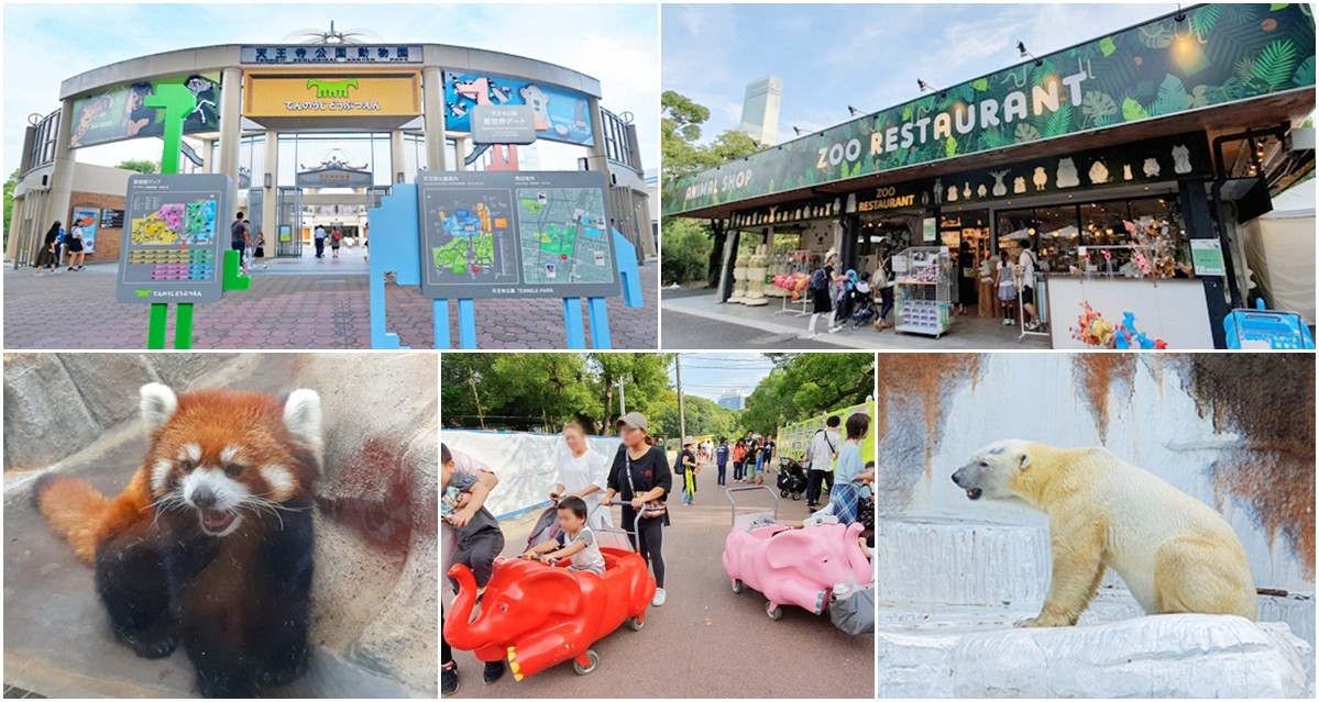 大阪天王寺動物園，北極熊在等你~大阪周遊卡免費觀光親子景點