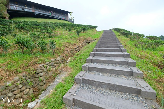 台灣農林新品牌【鹿篙咖啡莊園】超美景觀平台×茶園休閒咖啡廳 - yuki.tw