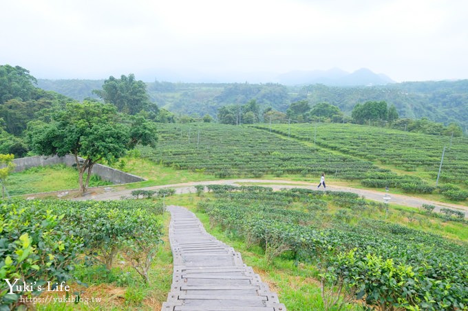 台灣農林新品牌【鹿篙咖啡莊園】超美景觀平台×茶園休閒咖啡廳 - yuki.tw