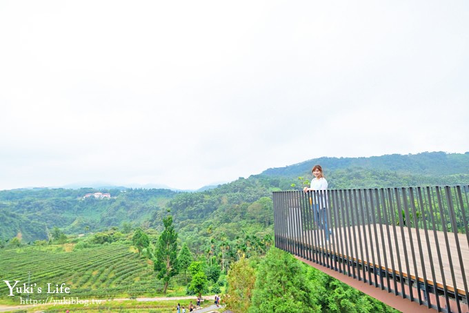 台灣農林新品牌【鹿篙咖啡莊園】超美景觀平台×茶園休閒咖啡廳 - yuki.tw