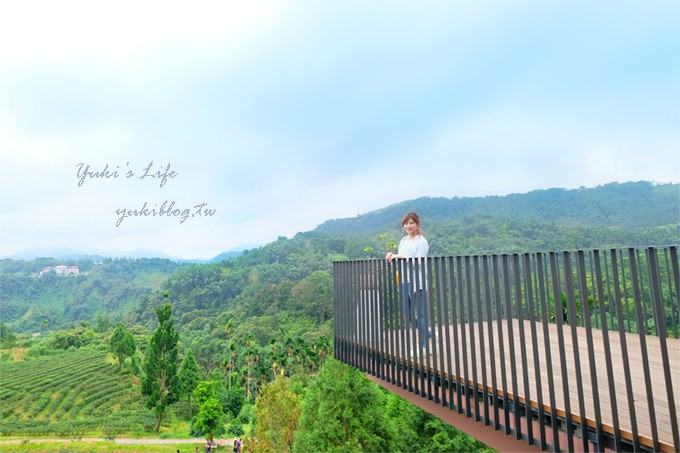 三峽景點【台灣農林熊空茶園】有機茶園景觀秘境～親子散步賞景好去處！ - yuki.tw