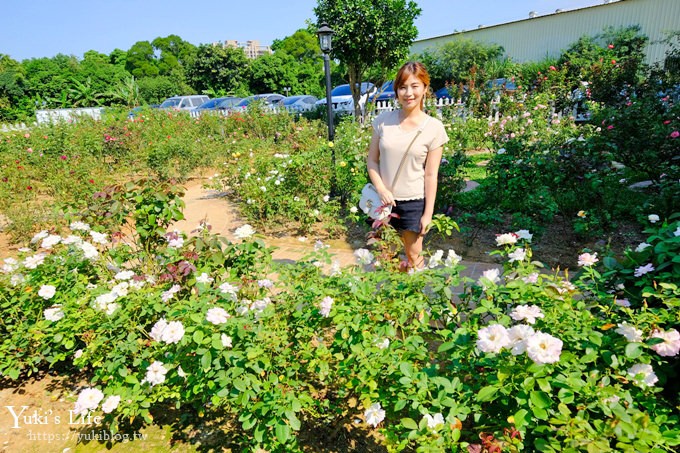 桃園新景點【玫瑰山谷】市區裡超美玫瑰花園下午茶~情侶約會去！ - yuki.tw