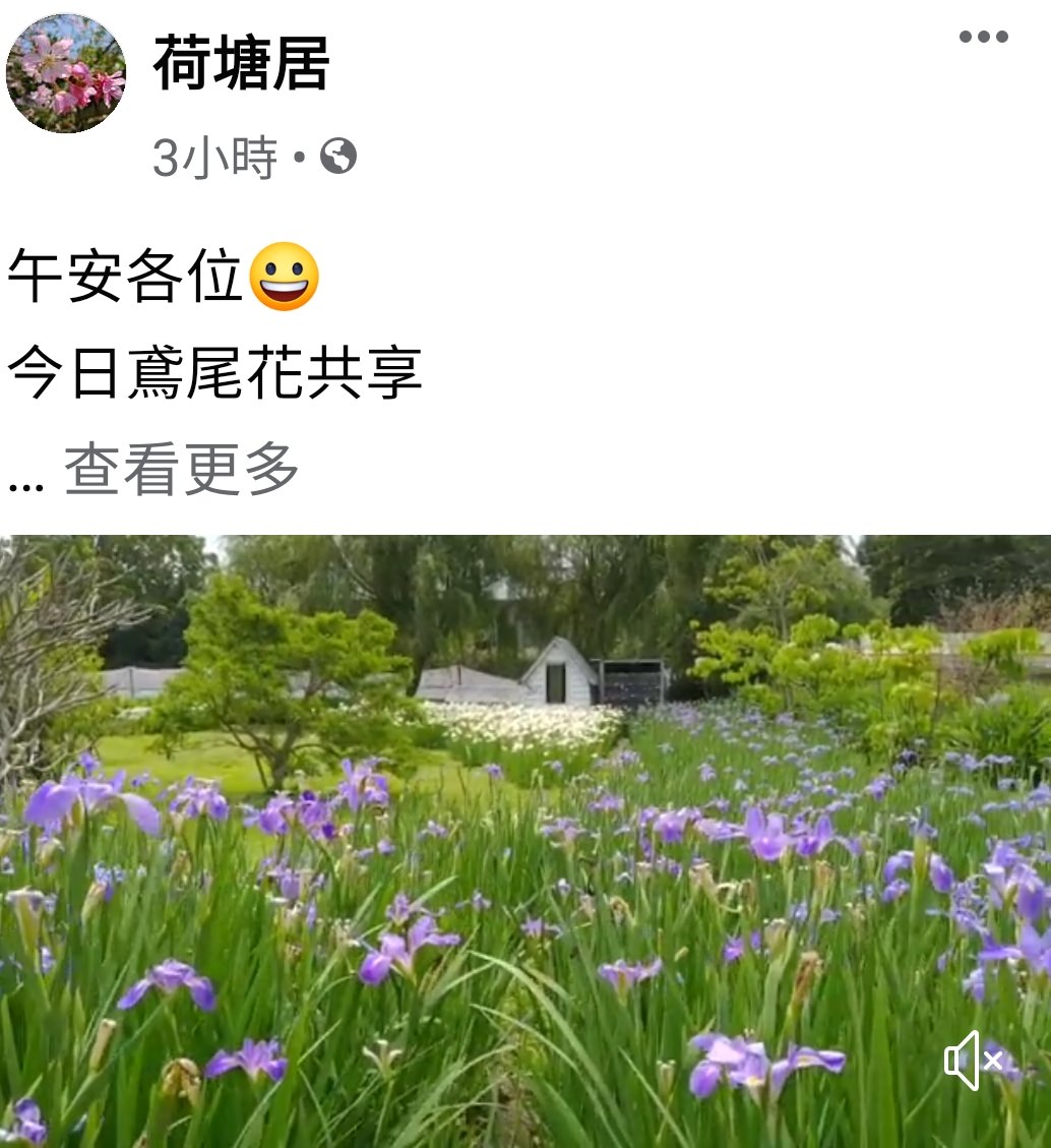 苗栗親子景點【荷塘居】田園鄉村風格×鳶尾花園區景觀餐廳 - yuki.tw