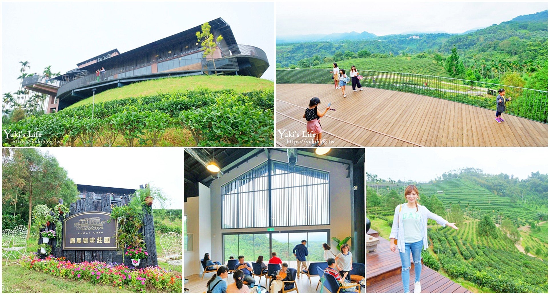 台灣農林新品牌【鹿篙咖啡莊園】超美景觀平台×茶園休閒咖啡廳