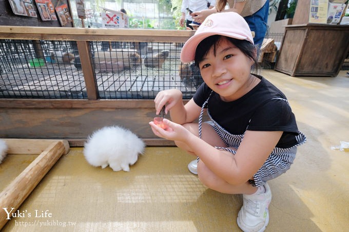 神戶景點》神戶動物王國，超夯親子推薦，室內動物園有水豚君在等你 - yuki.tw