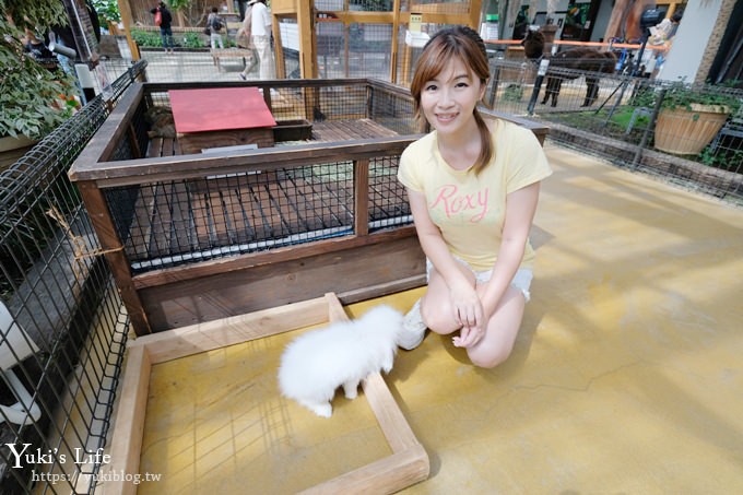 神戶景點》神戶動物王國，超夯親子推薦，室內動物園有水豚君在等你 - yuki.tw