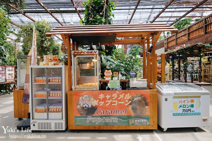 神戶景點》神戶動物王國，超夯親子推薦，室內動物園有水豚君在等你 - yuki.tw