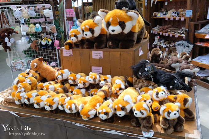 神戶景點》神戶動物王國，超夯親子推薦，室內動物園有水豚君在等你 - yuki.tw