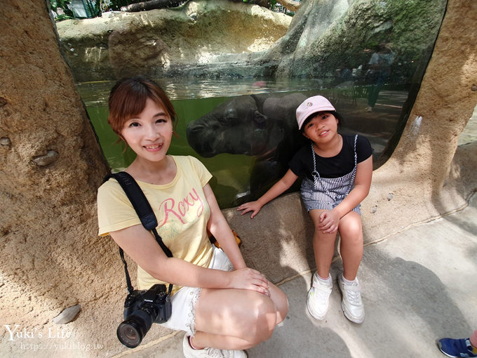 神戶景點》神戶動物王國，超夯親子推薦，室內動物園有水豚君在等你 - yuki.tw