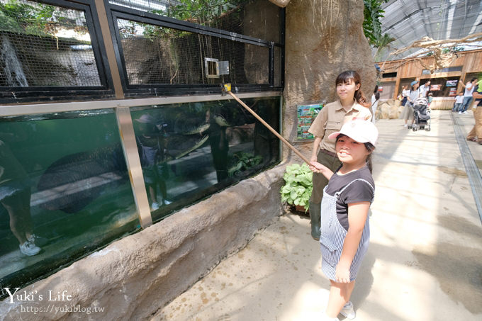 神戶景點》神戶動物王國，超夯親子推薦，室內動物園有水豚君在等你 - yuki.tw