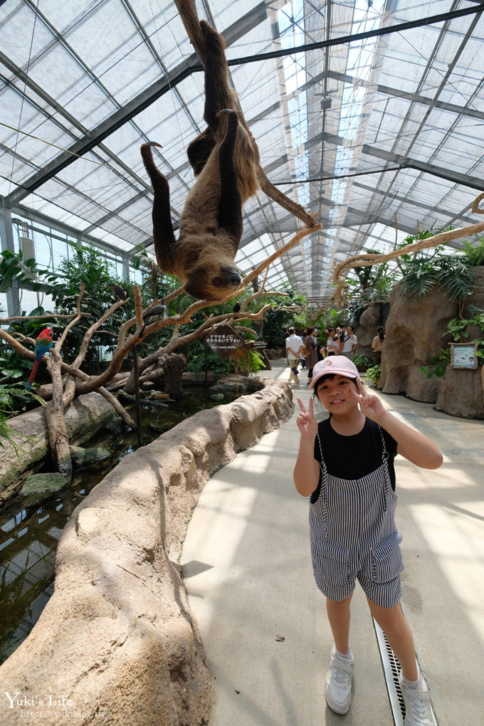 神戶景點》神戶動物王國，超夯親子推薦，室內動物園有水豚君在等你 - yuki.tw