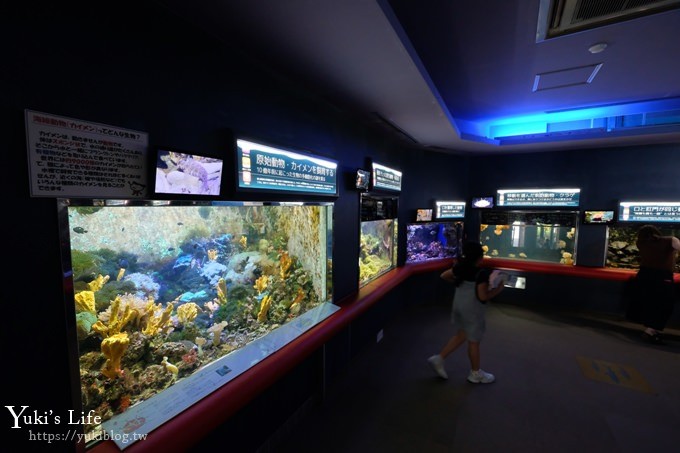 神戶親子景點【須磨海濱水族園】與水豚君一起泡湯×鯊魚魟魚水族館×海豚表演(已歇業) - yuki.tw