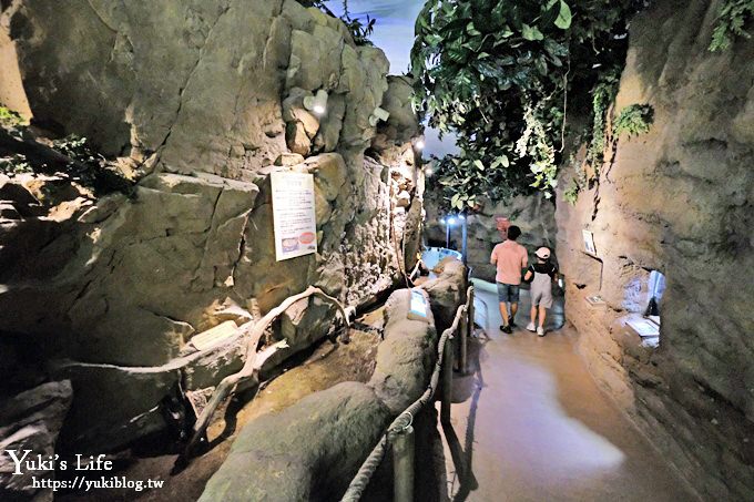 神戶親子景點【須磨海濱水族園】與水豚君一起泡湯×鯊魚魟魚水族館×海豚表演(已歇業) - yuki.tw