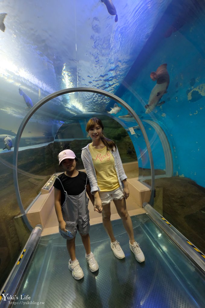 神戶親子景點【須磨海濱水族園】與水豚君一起泡湯×鯊魚魟魚水族館×海豚表演(已歇業) - yuki.tw