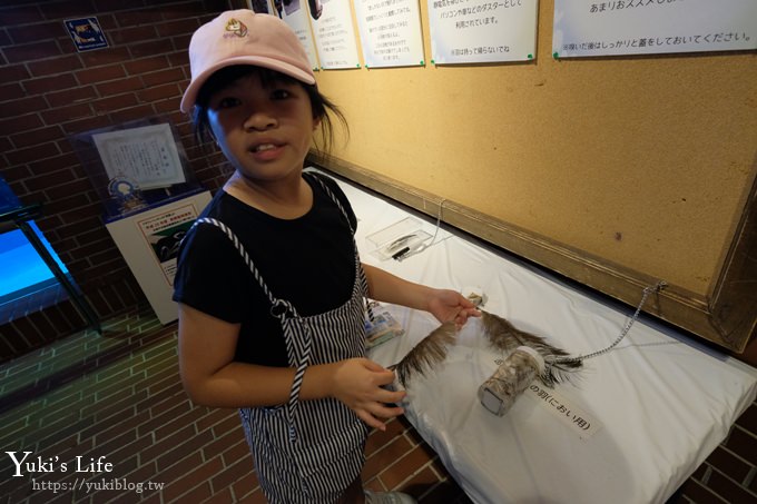 神戶親子景點【須磨海濱水族園】與水豚君一起泡湯×鯊魚魟魚水族館×海豚表演(已歇業) - yuki.tw