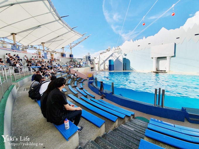 神戶親子景點【須磨海濱水族園】與水豚君一起泡湯×鯊魚魟魚水族館×海豚表演(已歇業) - yuki.tw