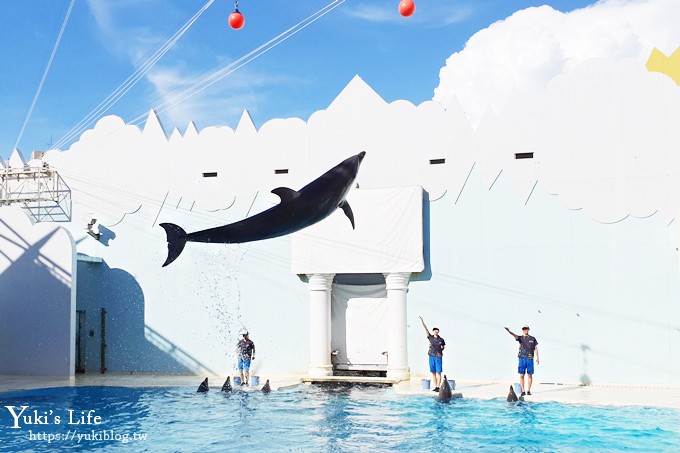 神戶親子景點【須磨海濱水族園】與水豚君一起泡湯×鯊魚魟魚水族館×海豚表演(已歇業) - yuki.tw