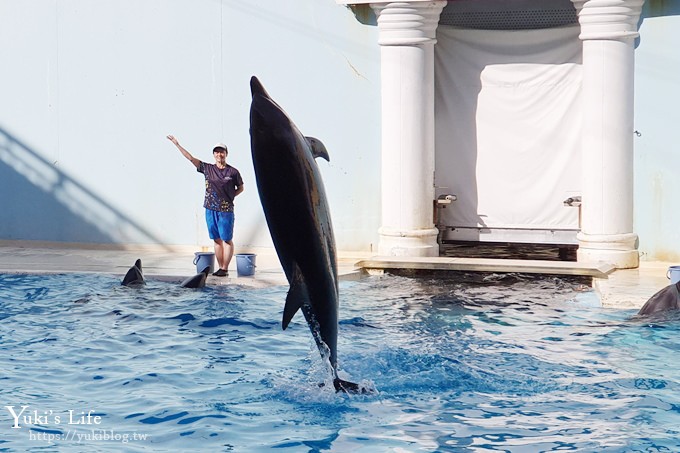 神戶親子景點【須磨海濱水族園】與水豚君一起泡湯×鯊魚魟魚水族館×海豚表演(已歇業) - yuki.tw