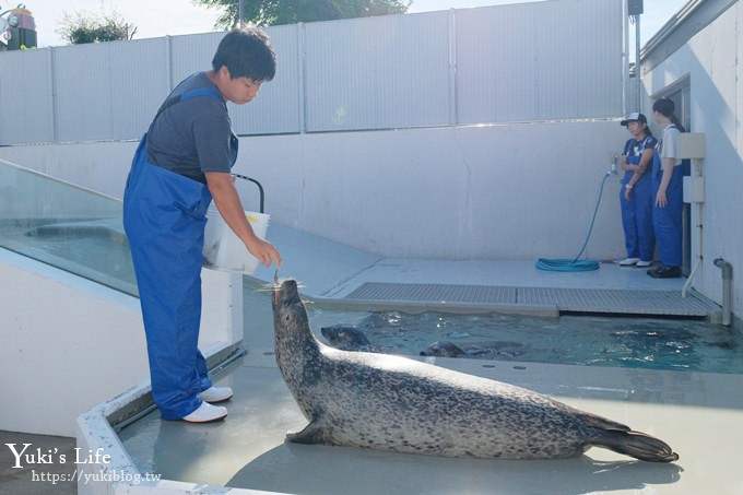 神戶親子景點【須磨海濱水族園】與水豚君一起泡湯×鯊魚魟魚水族館×海豚表演(已歇業) - yuki.tw