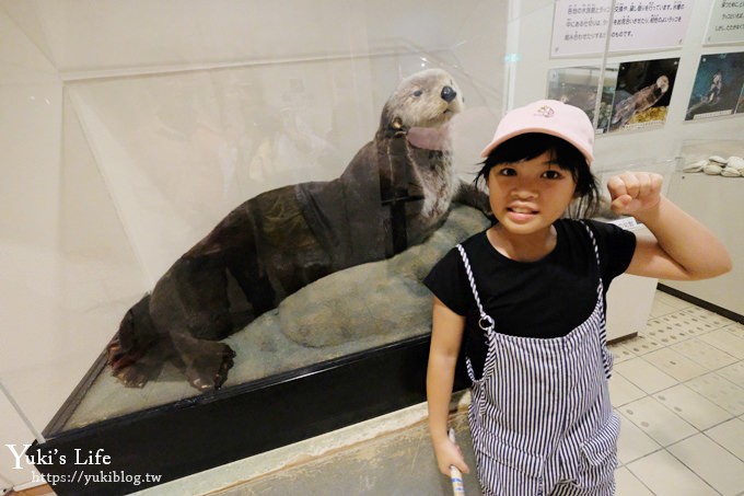 神戶親子景點【須磨海濱水族園】與水豚君一起泡湯×鯊魚魟魚水族館×海豚表演(已歇業) - yuki.tw