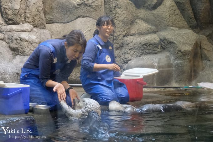 神戶親子景點【須磨海濱水族園】與水豚君一起泡湯×鯊魚魟魚水族館×海豚表演(已歇業) - yuki.tw