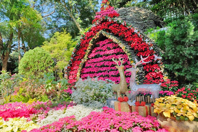 苗栗花露農場》四季都美親子景點、夢幻水池用餐、城堡精油館~超推親子之旅！ - yuki.tw