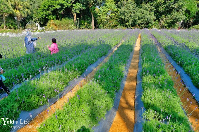 苗栗花露農場》四季都美親子景點、夢幻水池用餐、城堡精油館~超推親子之旅！ - yuki.tw