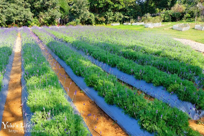 苗栗花露農場》四季都美親子景點、夢幻水池用餐、城堡精油館~超推親子之旅！ - yuki.tw