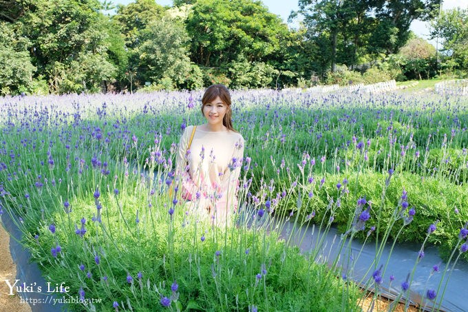 苗栗花露農場》四季都美親子景點、夢幻水池用餐、城堡精油館~超推親子之旅！ - yuki.tw